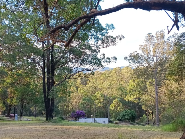 132 Davis Road Wittitrin NSW 2440 132 Davis Road Wittitrin NSW 2440