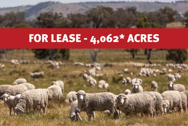Bogolara Road Jugiong NSW 2726