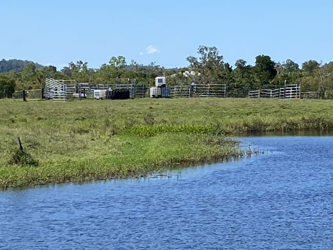 104 Mount Ossa Seaforth Road Mount Ossa QLD 4741