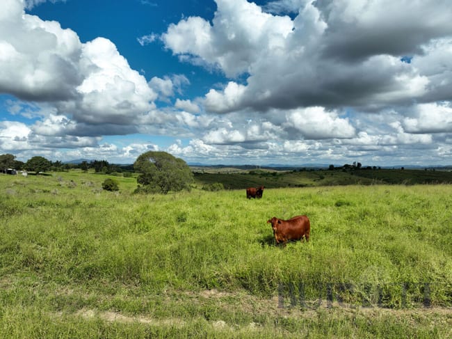 31791 Bruce Highway Booyal QLD 4671 31791 Bruce Highway Booyal QLD 4671