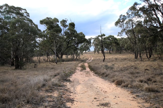 397 Rothlyn Road Chakola NSW 2630