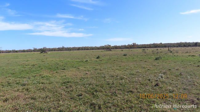 * Springvale Walgett NSW 2832