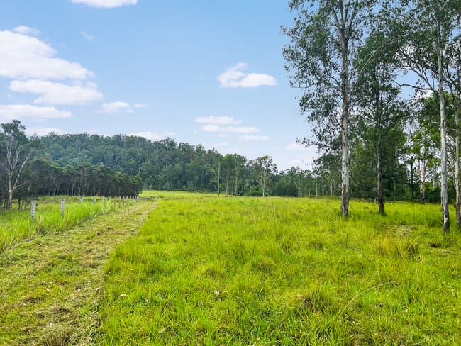 Lot 12 Busbys Flat Road Busbys Flat NSW 2469