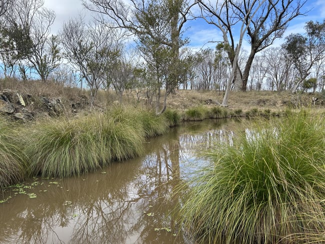 2939 Mosquito Creek Road Mosquito Creek QLD 4387 2939 Mosquito Creek Road Mosquito Creek QLD 4387