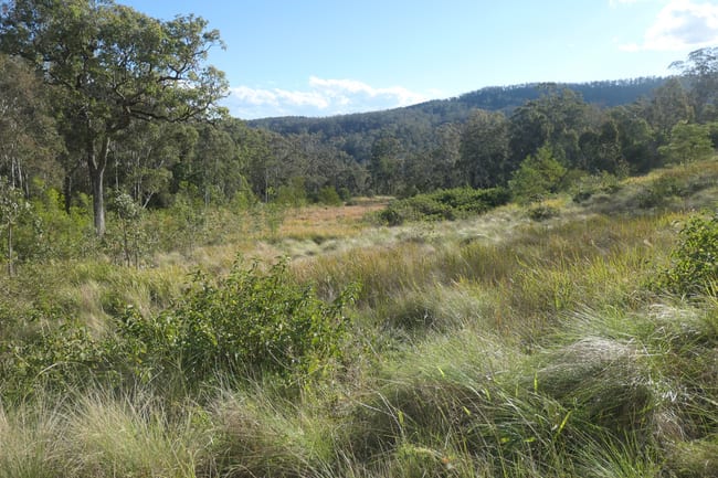 3 Hills Gate Forest Road Upper Tooloom NSW 2475 3 Hills Gate Forest Road Upper Tooloom NSW 2475