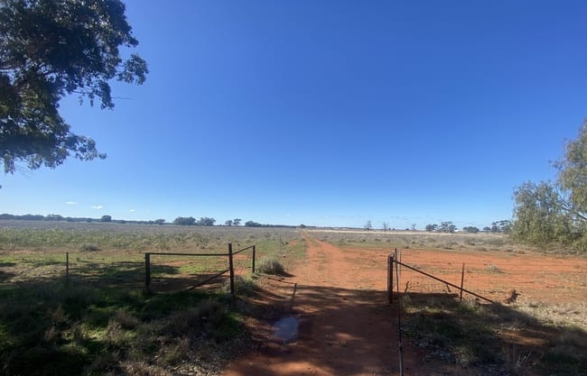 382 Jones Lane Condobolin NSW 2877