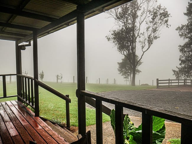 Dorrigo NSW 2453