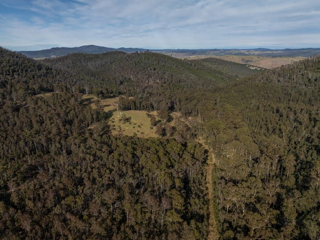 3954 Tulloch Ard Road Buchan VIC 3885 3954 Tulloch Ard Road Buchan VIC 3885