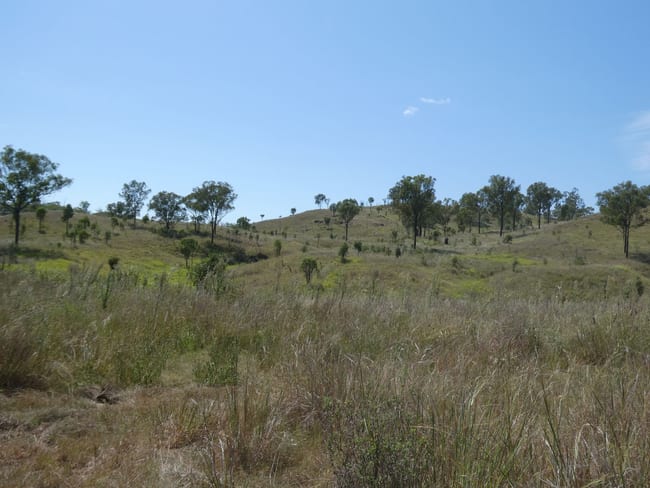 Lot 14 Monto Mount Perry Road Mungy QLD 4671 Lot 14 Monto Mount Perry Road Mungy QLD 4671