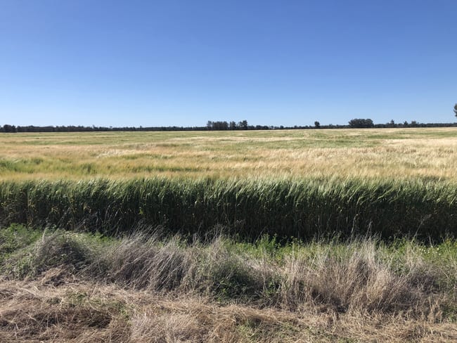 31850 Cunningham Highway Goondiwindi QLD 4390
