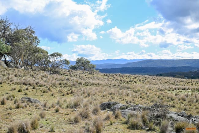 "Hobbs Range" 40 Hobbs Lane Moonbah NSW 2627