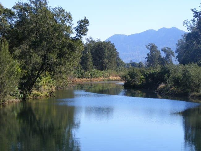 1041 South Arm Rd Bellingen NSW 2454