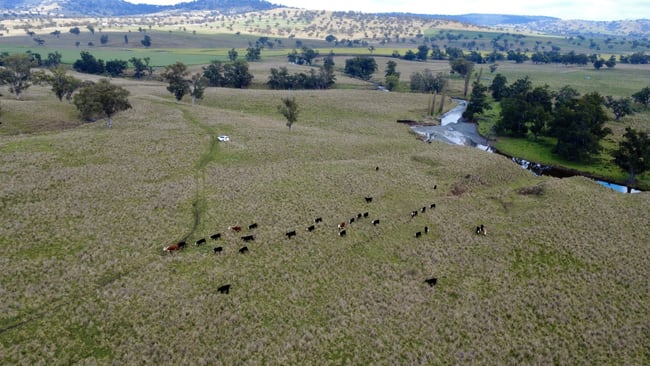 955 "Wirringulla" Coulsons Creek Road Merriwa NSW 2329 955 "Wirringulla" Coulsons Creek Road Merriwa NSW 2329