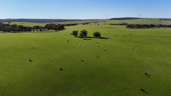 Badgingarra WA 6521
