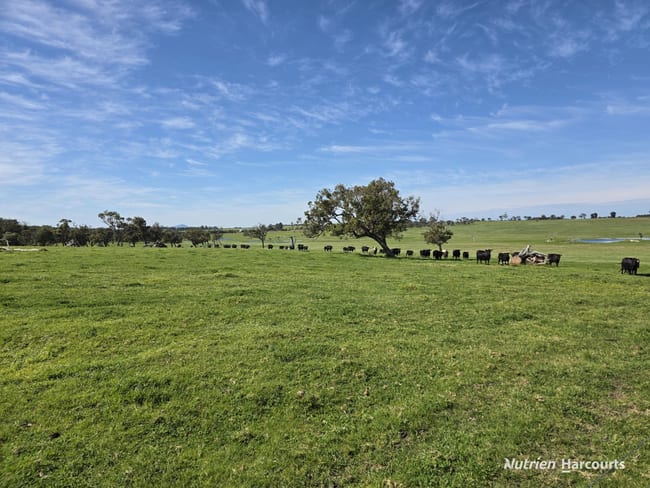 1867 Chester Pass Road Napier WA 6330 1867 Chester Pass Road Napier WA 6330