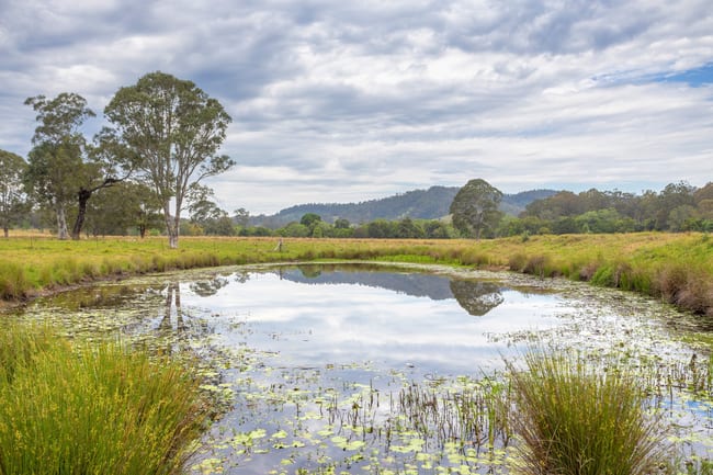 76 Stony Creek Road Kimbriki NSW 2429