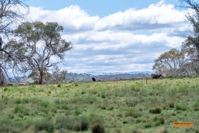 Lot 6 Avonside Road Avonside NSW 2628
