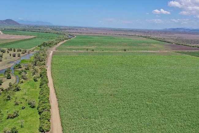 218 Oats Road Fredericksfield QLD 4806