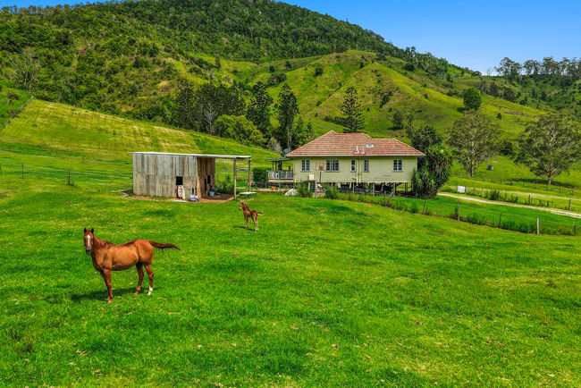 248 Illinbah Road Illinbah QLD 4275 248 Illinbah Road Illinbah QLD 4275