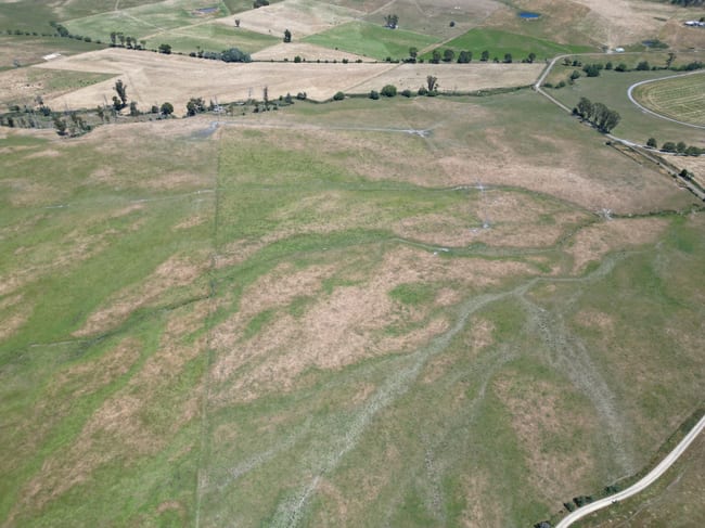 226 Gundagai Road Bangor TAS 7267 226 Gundagai Road Bangor TAS 7267