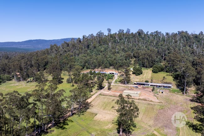 20 Nichols Road Narbethong VIC 3778 20 Nichols Road Narbethong VIC 3778