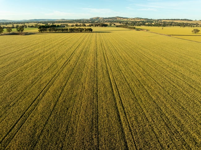 158 Bethel Road Burrumbuttock NSW 2642 158 Bethel Road Burrumbuttock NSW 2642