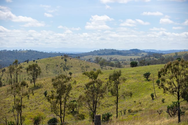 'Hutton' 295 Schnitzerling Road Thane QLD 4370 'Hutton' 295 Schnitzerling Road Thane QLD 4370