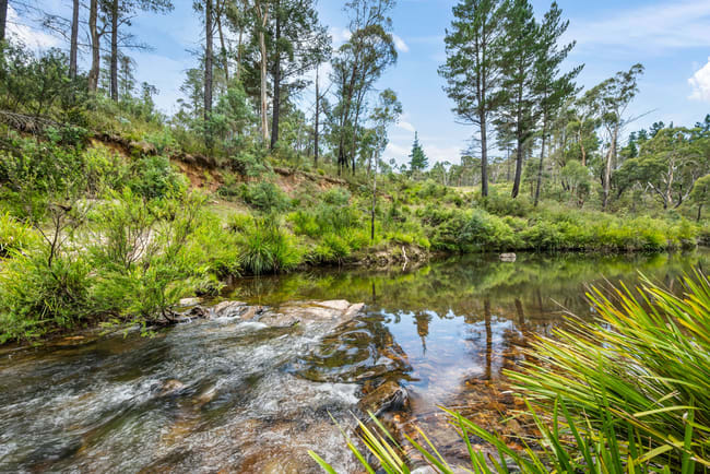 7288 Nerriga Road Braidwood NSW 2622