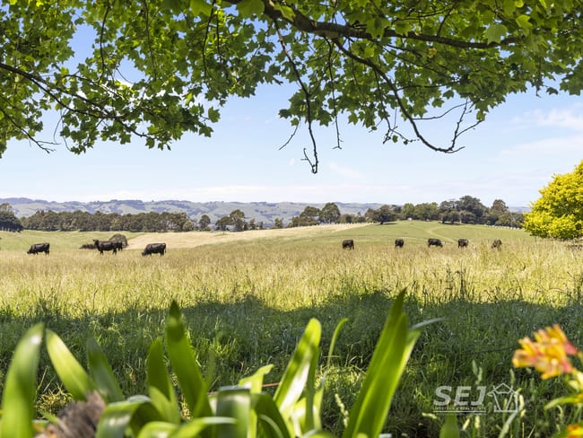 155 Coulters Road Mardan VIC 3953 155 Coulters Road Mardan VIC 3953