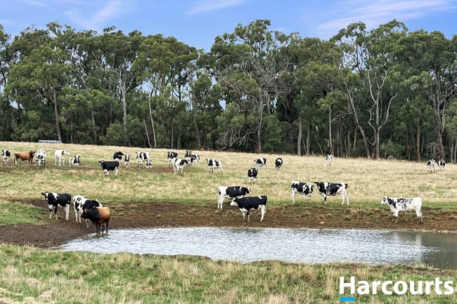 210 Frys Road Leongatha South VIC 3953