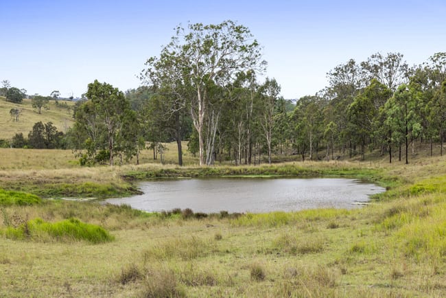 2492 New England Highway Cooyar QLD 4402