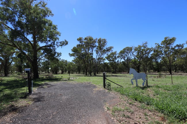 52 BENDICK MURRELL ROAD, Bendick Murrell via Young NSW 2594 52 BENDICK MURRELL ROAD, Bendick Murrell via Young NSW 2594