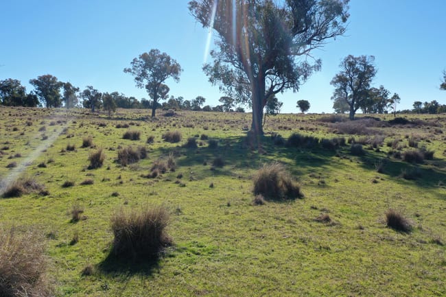 631 Glenelg Road Bundarra NSW 2359