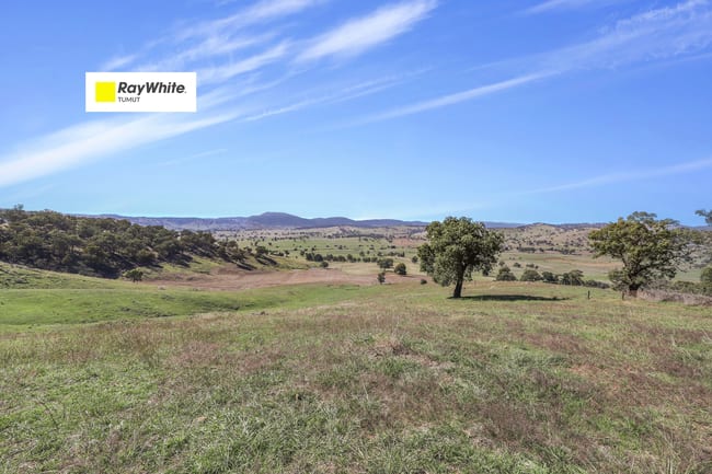 Part 1169 Grahamstown Road Adelong NSW 2729 Part 1169 Grahamstown Road Adelong NSW 2729