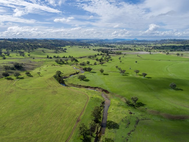 Hillgrove, 2851 Napier Lane Nombi NSW 2379