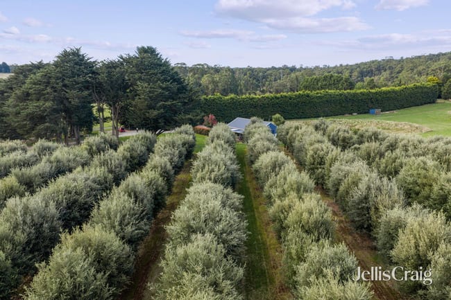 68 Sultana Road Blakeville VIC 3342