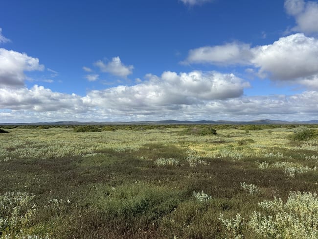 Lot 118C Johnburgh Road Orroroo SA 5431 Lot 118C Johnburgh Road Orroroo SA 5431
