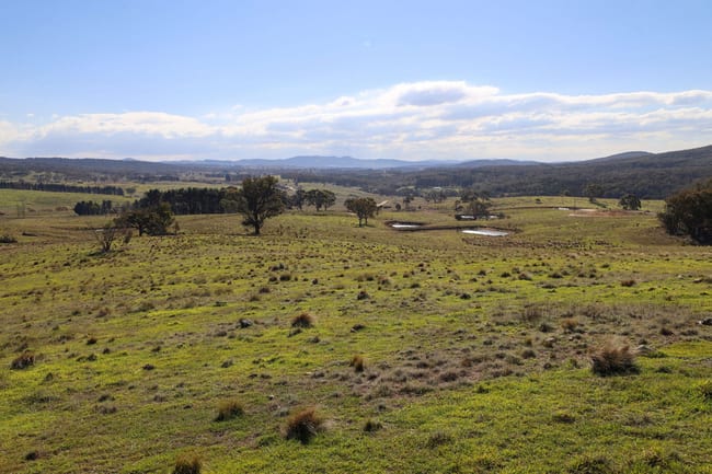 876 Boro Road Boro NSW 2622 876 Boro Road Boro NSW 2622
