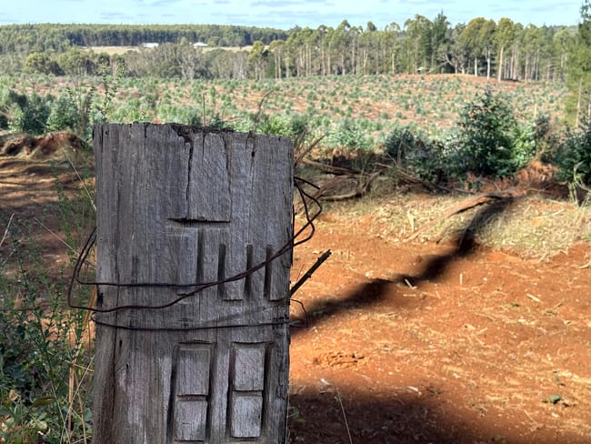 Lot 1 Kim Road (Dingup) Manjimup WA 6258