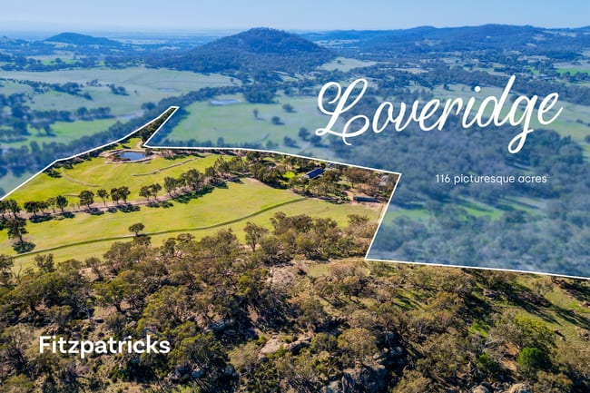 6361 Holbrook Road Gelston Park NSW 2650
