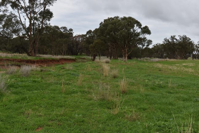 2892 Springvale Road Condobolin NSW 2877 2892 Springvale Road Condobolin NSW 2877