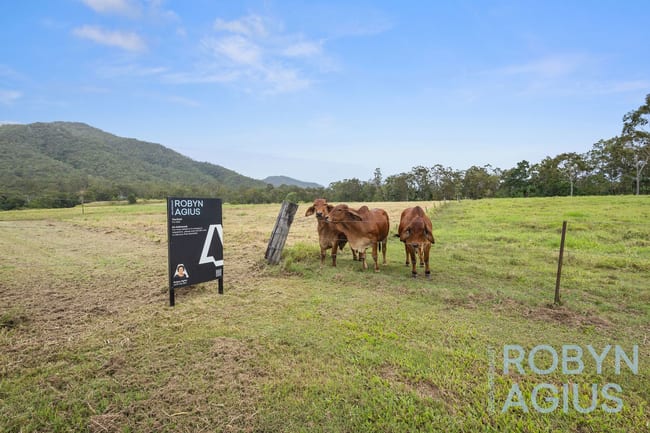 4869 Mackay Eungella Finch Hatton QLD 4756 4869 Mackay Eungella Finch Hatton QLD 4756