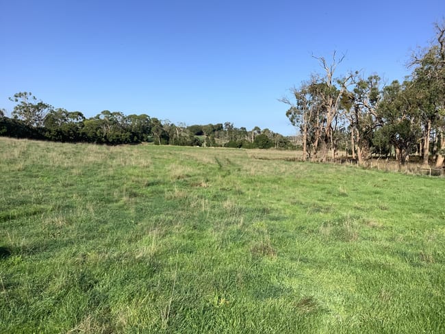 . Winnap-Nelson Road Drik Drik VIC 3304