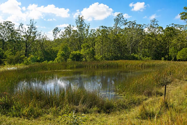 Lot 105 97 Long Gully Road Drake NSW 2469 Lot 105 97 Long Gully Road Drake NSW 2469