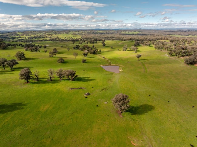 6096 Hume Highway Kyeamba NSW 2650