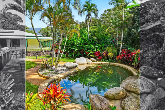 46 Gallet Road Little Mulgrave QLD 4865