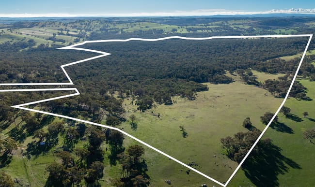 Lot 1, 244 Cobb Drive Woodstock NSW 2793 Lot 1, 244 Cobb Drive Woodstock NSW 2793