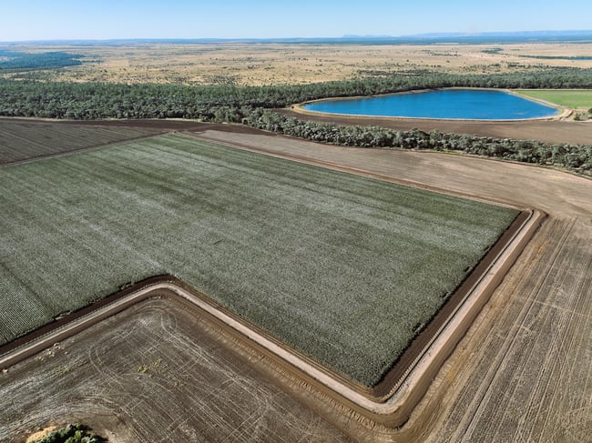 2527 Comet Downs Road Arcturus QLD 4702