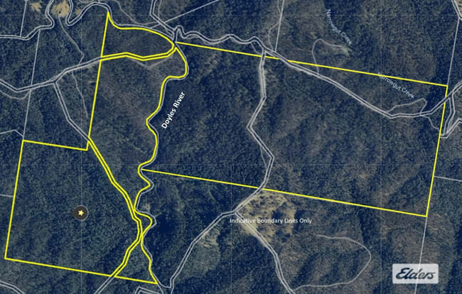 1280 Doyles River Road Bulga Forest NSW 2429