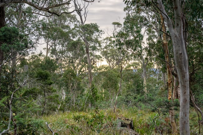 'Hardings Bay Retrea Lake Leake Road Lake Leake TAS 7210